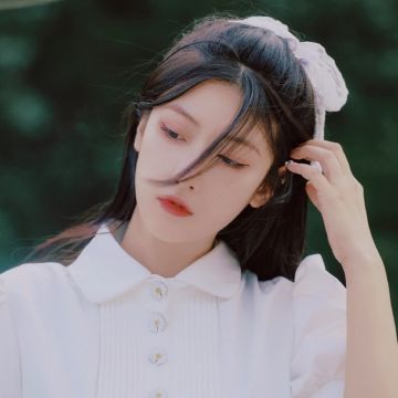 长期养狗心脏病风险直降20%